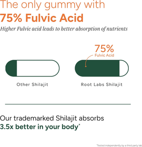 सोलिलन ओम 10-इन-1 अल्फा शिलजीत गुम्मस 75% फुल्विक एसिड प्रतिरक्षा समर्थन रेसिन अश्वगंधा ऊर्जा मका मूल वयस्क हर्बल हर्बल हर्बल हर्बल हर्बल - Product Image 5
