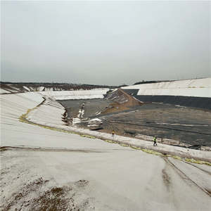 <span class=keywords><strong>Película</strong></span> Especial para Proyectos Mineros, Geomembrana de HDPE de 0.2-0.3 mm de Espesor, Revestimiento para Estanques, Diseño Moderno, Dura 20 Años - Product Image 5