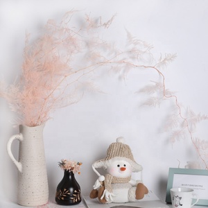 Matériaux d'artisanat de haute qualité, feuilles de fougère Ming séchées, fougère d'<span class=keywords><strong>asperge</strong></span> naturelle conservée pour la décoration de mariage - Product Image 4