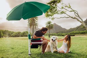 Parasol de plage portable, design moderne, imperméable, protection UV, vente en gros - Product Image 4
