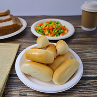 Plateau jetable écologique en pulpe de bagasse de 10 pouces, biodégradable et compostable, pour la restauration
