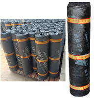 Membrane d'étanchéité en polyester écologique bitumineuse SBS à fusion à chaud pour la construction de toitures