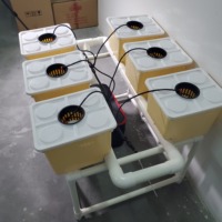 Sistem Dutch Bucket 6 Ember Penanam dengan Rak dan Pompa Irigasi Tetes untuk Menanam Tomat dan Stroberi