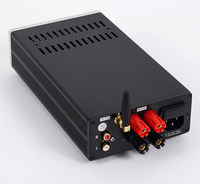 Amplificateur stéréo Hifi BRZHIFI PAM-4140 5.0, amplificateur professionnel pour la maison, modules d'amplification en aluminium