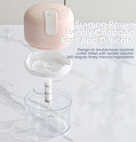 Fv09 Gratis Handheld 250Ml Cup Keuken Knoflook Vlees Plantaardige Batterij Aangedreven Usb Draadloze Mini Elektrische Voedsel Chopper