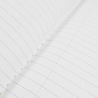 Cahiers de Comptabilité A4 de 192 Pages, 2 Piqûres, Réglure à Grands Carreaux et Marge pour les Écoles