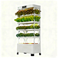 Tour hydroponique compatible avec plusieurs cultures avec éclairage LED pour la culture d'herbes/légumes en serre intérieure