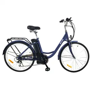 36v import fahrräder aus china/36v10ah elektrische fahrrad batterie/36v10ah li-ion akku