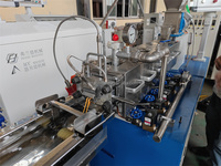 Ligne de production d'extrusion de granulés de plastique pour laboratoire