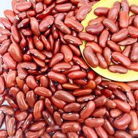 Haricots rouges rouges, vente en gros, haricots rouges, prix du marché