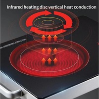 Mini cuisinière à induction portable 3500W en céramique et acier inoxydable, multifonction, compacte, chauffage rapide, affichage numérique