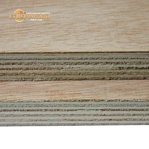 1200x2400mm सस्ते कीमत Edlon लकड़ी के उत्पादों फर्नीचर ग्रीन मूल्य सूची 18mm दृढ़ लकड़ी 8x4 वाणिज्यिक प्लाईवुड