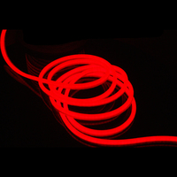Lampu Neon Strip Tahan Air IP67 DC 24V Tali Lampu Neon Strip Led Fleksibel Rgb