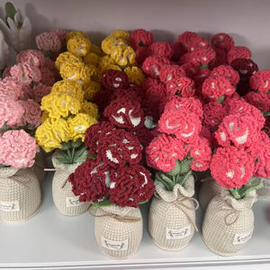 Best Gift for Mother's Day <strong>Handmade</strong> <strong>Crochet</strong> Carnation Potted Plants Colorful Hand <strong>Knitted</strong> Wool Yarn Home Decor Artificial <strong>Flower</strong> - Product Image 1