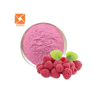 Raspberry Powder Free Sample Freeze Dried Raspberry Powder Manufacturer Supply Raspberry Fruit Extract Powder