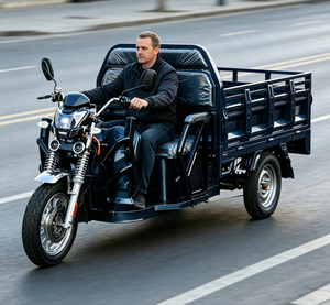 Triciclo Eléctrico de Carga Robusto con Configuración de Neumáticos de Alta Resistencia, Aprobado por la CEE, para Logística Agrícola <span class=keywords><strong>y</strong></span> Comercial - Product Image 5