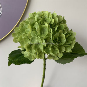 B-729 <span class=keywords><strong>Comprar</strong></span> al por Mayor Decoración para el Hogar, Hortensia Verde Artificial, Flores de Tacto Natural, Tallo Único, Rama Larga, Hortensia de Látex - Product Image 6