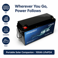 TPENERGY Baterai Lithium LiFePO4 Ringan 12V 24V 100Ah 200Ah 300Ah untuk Sistem Tenaga Surya Rumah Tangga, Penyimpanan Off-Grid dengan BMS untuk RV