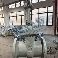 Válvula de Compuerta Eléctrica de Acero Inoxidable, Actuador Motorizado, Flangeada, Automatización con Control Remoto