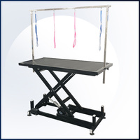Table de toilettage électrique professionnelle pour chien, réglable en hauteur, robuste, table d'opération pour animaux de compagnie, pour grands chiens et cliniques vétérinaires