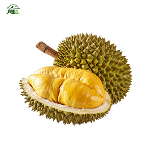 ผงน้ำผลไม้ธรรมชาติจากทุเรียนผงสกัดจากทุเรียนแบบแช่แข็งแห้งจากทุเรียน - Product Image 4