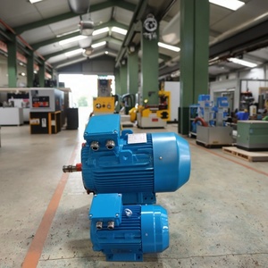 Y2-160M2-2 AC động cơ điện không chổi than 3-giai đoạn động cơ không đồng bộ 50Hz/60Hz f Class với ie3 hiệu quả - Product Image 3