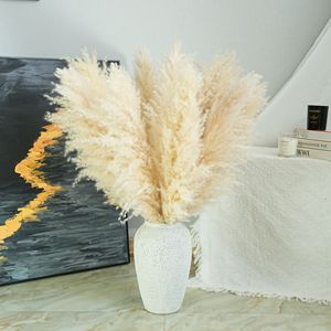 Stock local d'herbe de pampa séchée, tiges en vrac pour la décoration florale, décoration d'événements, <span class=keywords><strong>livraison</strong></span> rapide, approvisionnement en usine, vente en gros directe - Product Image 6