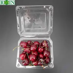 Récipient alimentaire transparent personnalisé PET boîte à clapet en plastique jetable à charnière pour emballage de fruits et légumes