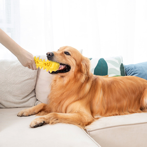 Melody Etkileşimli Çevre Dostu Toksik Olmayan TPR Dayanıklı Köpek Çiğneme Oyuncakları Diş Temizleme Özelliğiyle Modern Çizgi Film Tarzı - Product Image 6