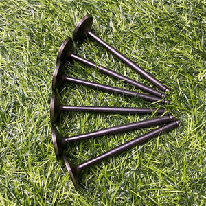 Ensemble de soupapes de moteur de course de moto en acier inoxydable CSRK en gros, origine Taïwan - Product Image 6