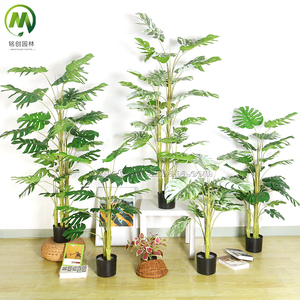 Piante Artificiali <span class=keywords><strong>da</strong></span> Interno all'Ingrosso, <span class=keywords><strong>Bonsai</strong></span> in Vari Stili, Pianta di Taro e Foglia di Monstera Fatte a Mano per Decorazione Casa e Ufficio - Product Image 5