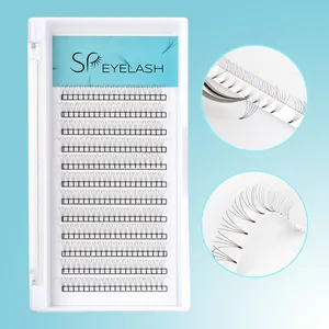 Premium Silk Hand Made 6D Russian Volume Lash Individual Eyelash Extension Pre made Volume Fans 2D 3D 4D 5D 6D 7D 8D Lashes