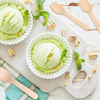 Mini cuillère jetable carrée en bois de bouleau pour yaourt et crème glacée, biodégradable et compostable