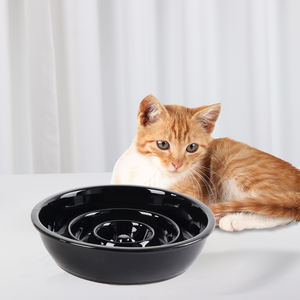 Bol de nourriture pour chien antidérapant Bols surélevés pour chat pour manger lentement Mangeoire lente en céramique pour animaux de compagnie avec support en bois - Product Image 2