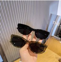 Lunettes de Soleil Femme Ultralégères Tendance Papillon en Plastique de Luxe Qualité Mode Œil de Chat Style Morandi