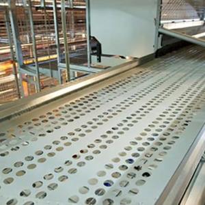 50cm di larghezza perforato pollame uovo nastro trasportatore per la gabbia delle galline delle uova - Product Image 4