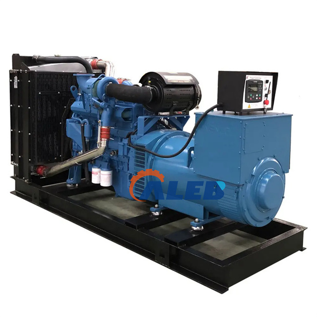 Natural Gas Generator Open Gas Generator Home Backup Generator