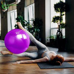 Palla da Yoga/Pilates/Equilibrio Zhensheng Economico con Design Innovativo Stile Armonia, Personalizzabile con Logo, Certificata REACH - Product Image 5