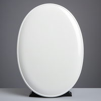 Plaque commémorative ovale vierge en céramique, tablette en porcelaine haute densité pour urne funéraire et commémoration