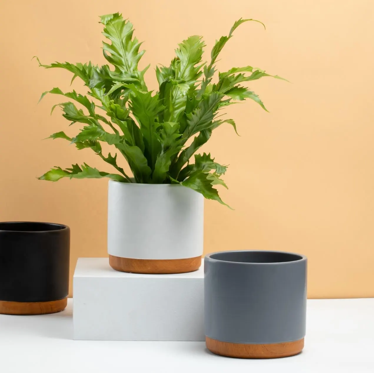 Succulent Plant Pots 6 inch Wood Grain Ceramic Matte Planters with Drainage Hole With Gift box