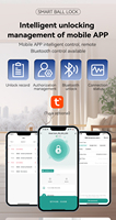 Serrure de porte intelligente Ttlock pour portes en acier/laiton avec stockage cloud Wi-Fi et contrôle par application