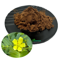 Extrait de Tribulus Terrestris Naturel Standardisé pour la Protodioscine et les Saponines Stéroïdiennes 20% 40% 60% 95% Poudre d'Extrait de Tribulus Terrestris