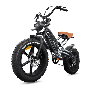 2024 Comprar bicicleta eléctrica Eu barato 20 pulgadas Fat Tire Ebike Motor Bicicleta eléctrica Adulto - Product Image 4