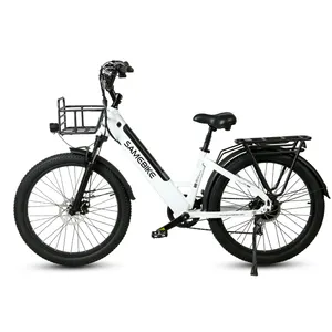 Usine directement OEM 26 pouces dame vélo de ville électrique 7 vitesses 48V 2 sièges ville e vélo 750W vélo électrique