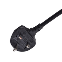 Prise 3 broches avec fusible 13A conforme à la norme britannique BS avec IEC C5 pour appareils électroménagers