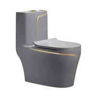 Vente en gros Ensemble de toilette pour WC noir ligne dorée de couleur personnalisée Articles sanitaires de salle de bain Cuvette de toilette moderne en céramique Toilette monobloc