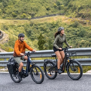Bicicleta Eléctrica ENGWE E26 3.0 Pro 250W con Motor Central, Neumáticos Gruesos 26x3.0, 48V 15Ah, Suspensión Completa, 100Nm Torque, 8 Velocidades, Frenos de Disco Hidráulicos, CE - Product Image 1