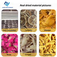 Precieze Innovatie Luchtdroogmachine Alfalfa Dehydratie Plant Basilicum Blad Droogmachine