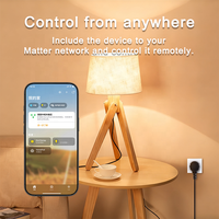 Bilihondim Matter Over Thread EU Mini Plug Dimmer 1 canal 200W sans fil contrôlé par Google Assistant Garantie d'un an