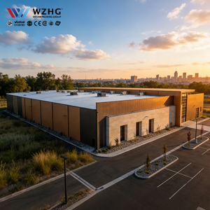 Structure en acier H pour arène multisports, installation facile, portée libre pour l'entraînement - Product Image 1